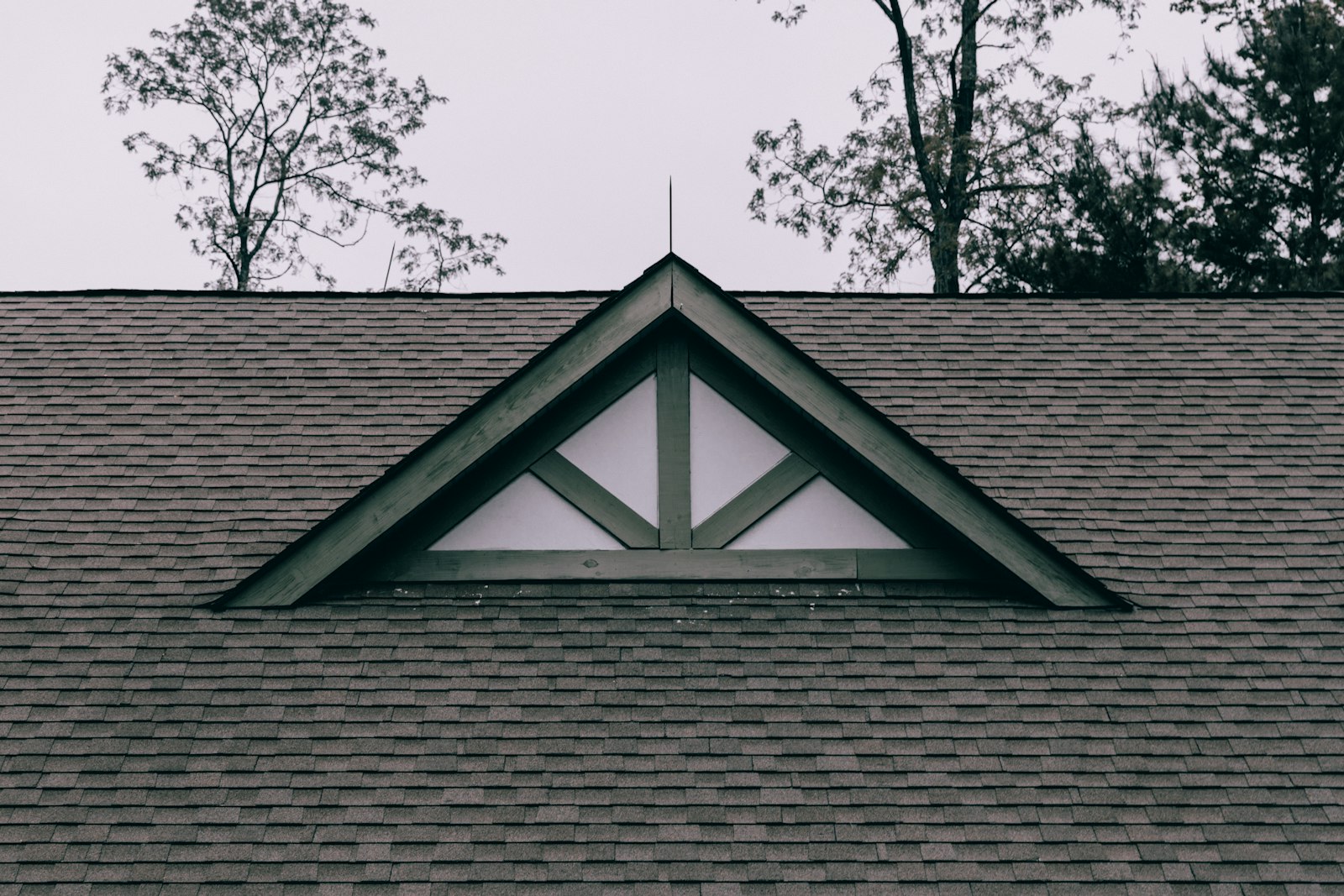 Asphalt shingle roof detail